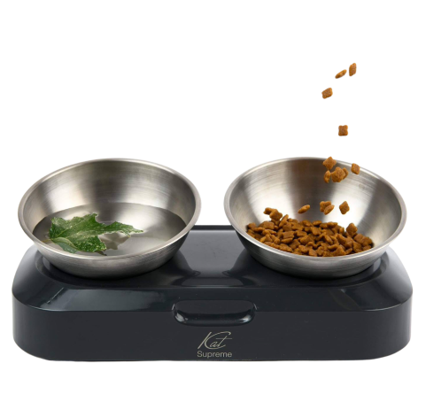 Elevated Pet Feeding Bowls For Dog & Cat, 1 Plastic Tilted Dog