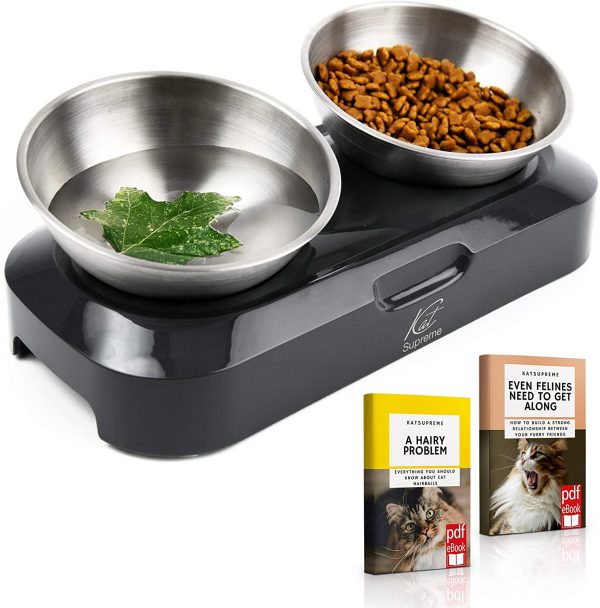 Stainless Steel Elevated Angled Cat Bowl